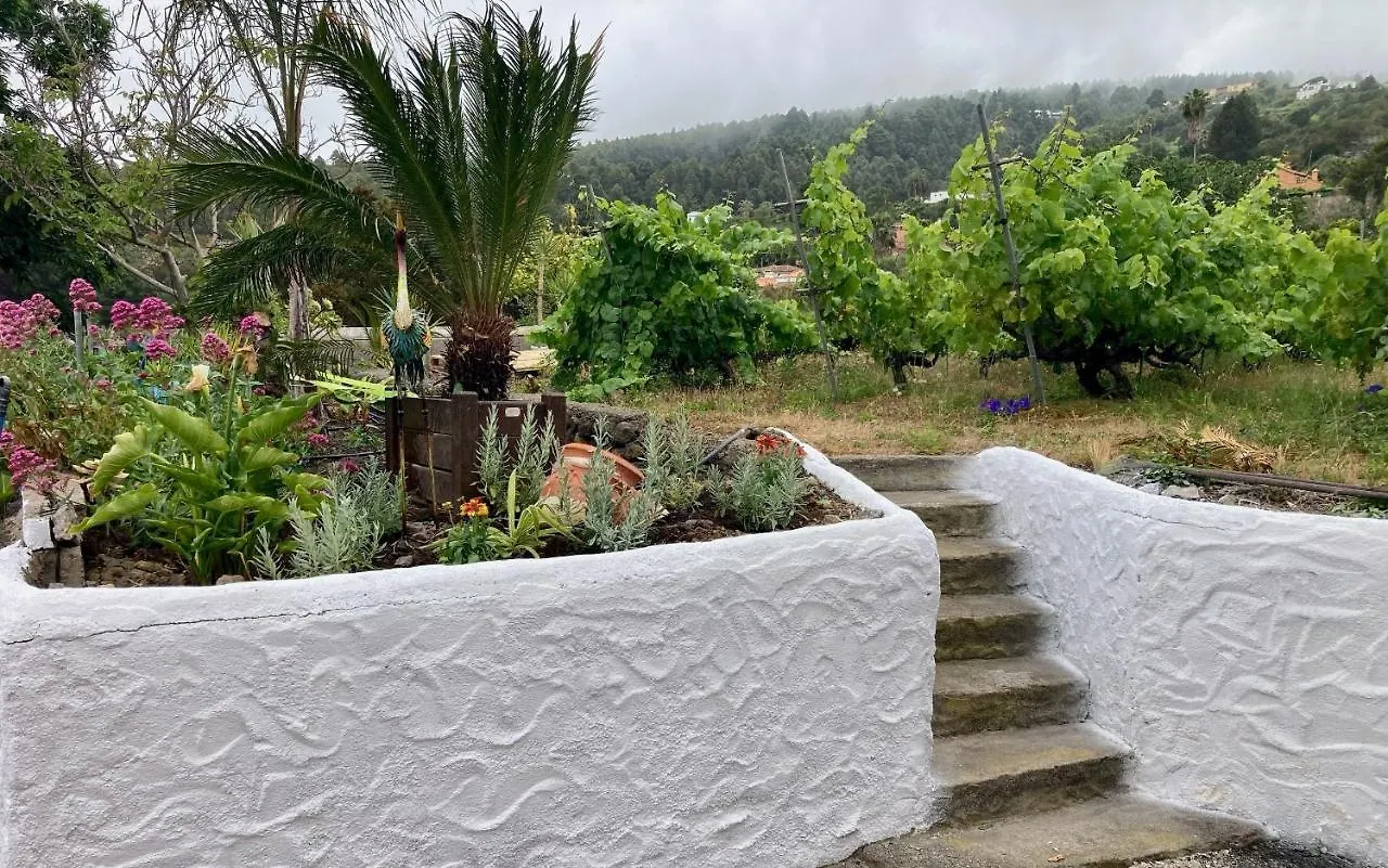 Finca De La Msica - Pop Daire Icod De Los Vinos
